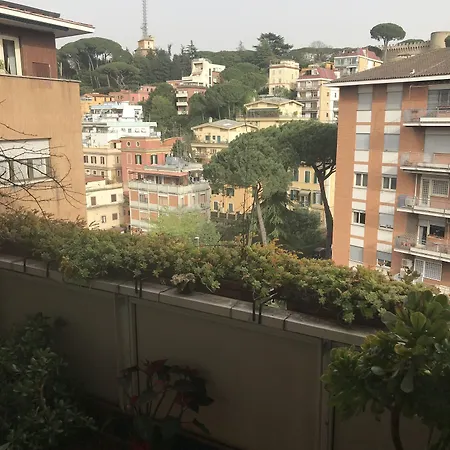 Le Finestre Sul Vaticano